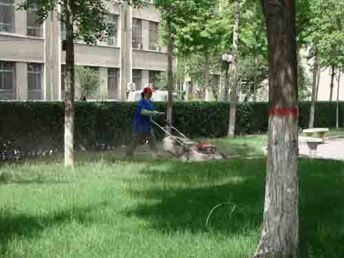 工廠(chǎng)、商務(wù)大樓、工業(yè)園區(qū)、私人企業(yè)、電影院、銀行、政府機(jī)關(guān)、學(xué)校、酒店娛樂(lè)場(chǎng)所等綠化養(yǎng)護(hù)