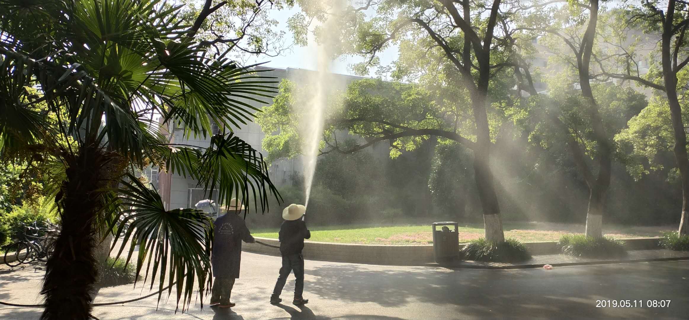 蟲害防治 蟲害防治