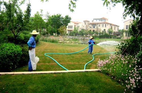 綠化養護 綠化養護