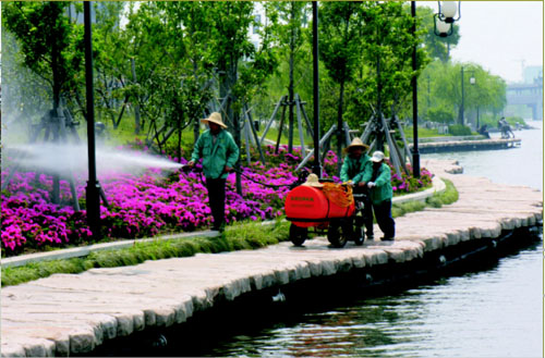 綠化養護 綠化養護